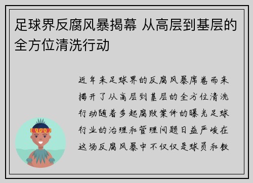 足球界反腐风暴揭幕 从高层到基层的全方位清洗行动